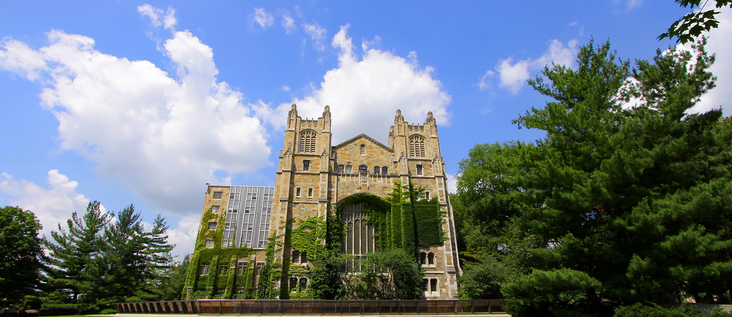 Visit The Iconic Attractions In Coldwater, Michigan