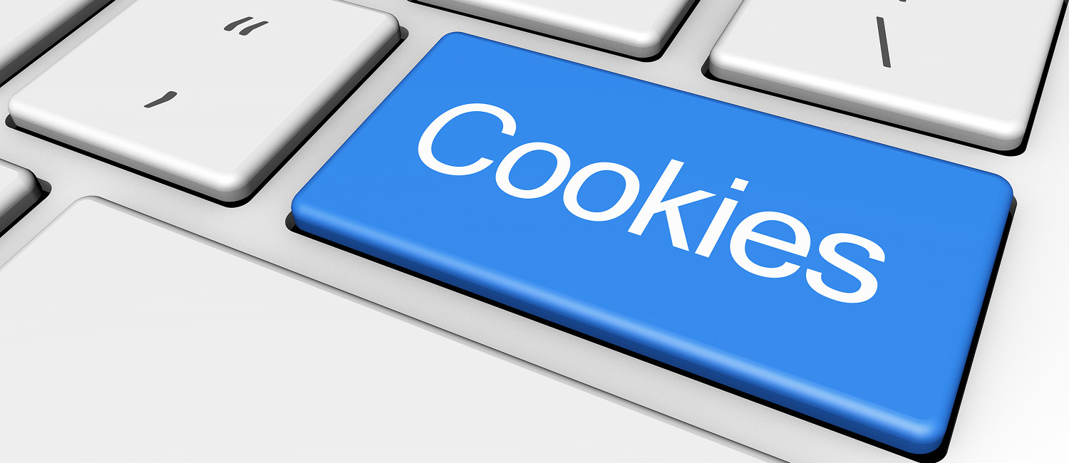 Website Cookie Policy For Q Lodge